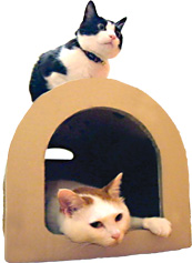 どこでも爪とぎ出来る猫ハウス！各種オプション、サイズを取り揃えて好評販売中！